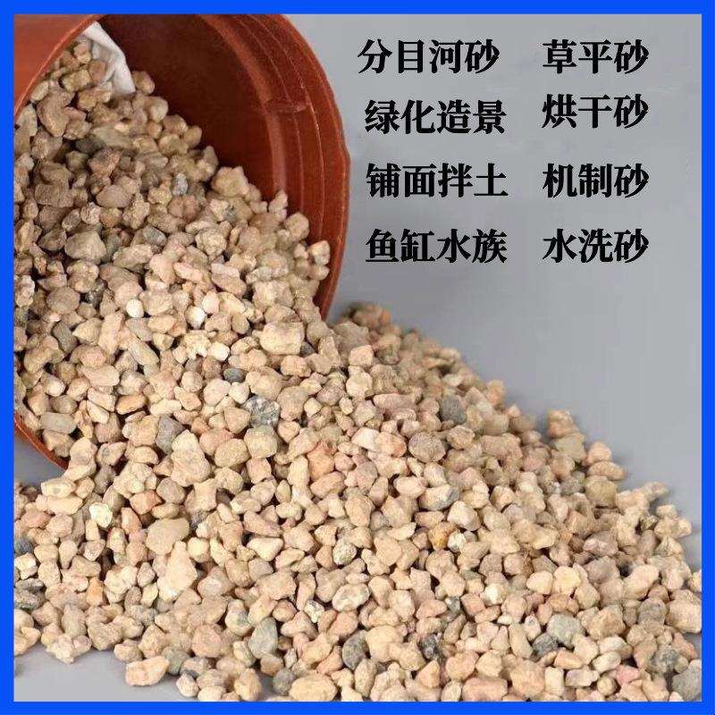 水洗河沙分目河沙建筑水泥混凝土砂浆河沙多肉铺面绿化造景粗河沙
