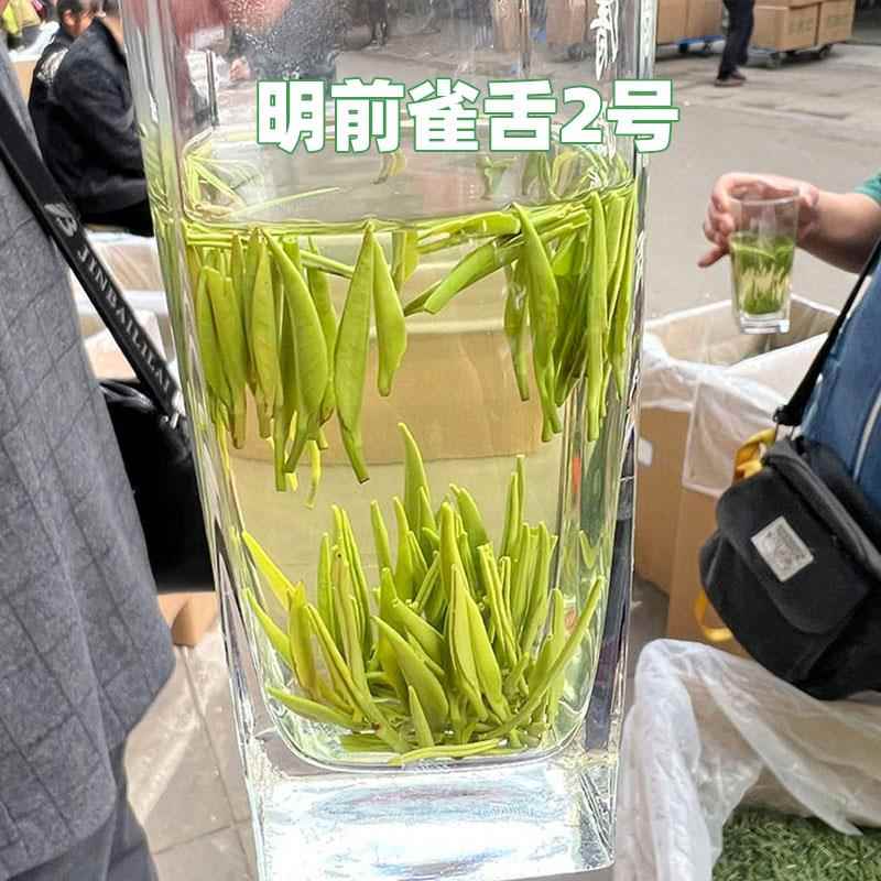 2025新茶四川雅安绿茶蒙顶雀舌毛峰竹青叶茶叶清香型老茶客口粮茶
