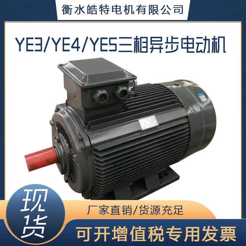 90W高效率低能效电机/380V异步YE3/YE4/YE5变频三相水泵电动机
