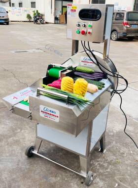 头大型806流水线莲藕切片机 芹菜上海青豆角切段机 厂家直销