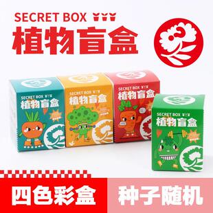 DIY Kids Pots Child for Planting Box Mystery Seed Mini
