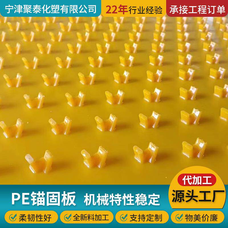 聚乙烯多点锚固板隧道防渗透管道内衬锚固防腐板市政工程PE锚固板