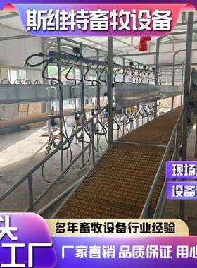 斯维特奶山羊骆驼挤奶机并列式挤奶设备智能化牧场管理奶厅