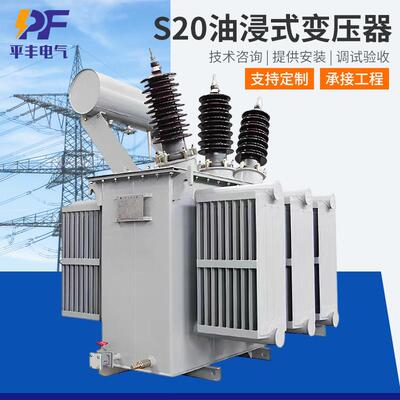 S20-1000KVA三相电力变压器厂家高压电力三相油浸式电力变压器