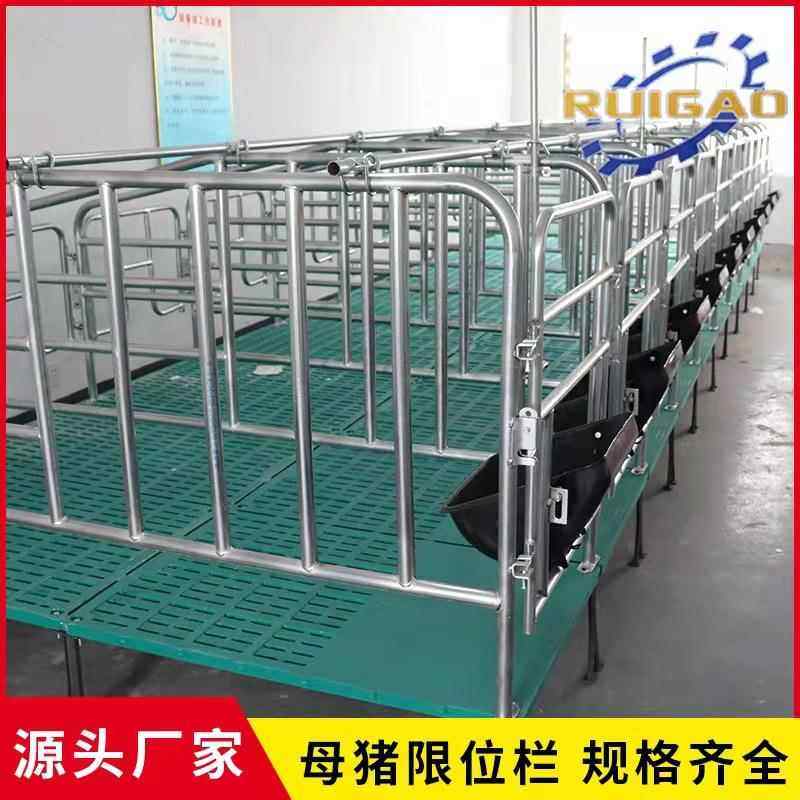 母猪限位栏定位栏猪用落地式加厚养猪设备镀锌管带复合板产床厂家