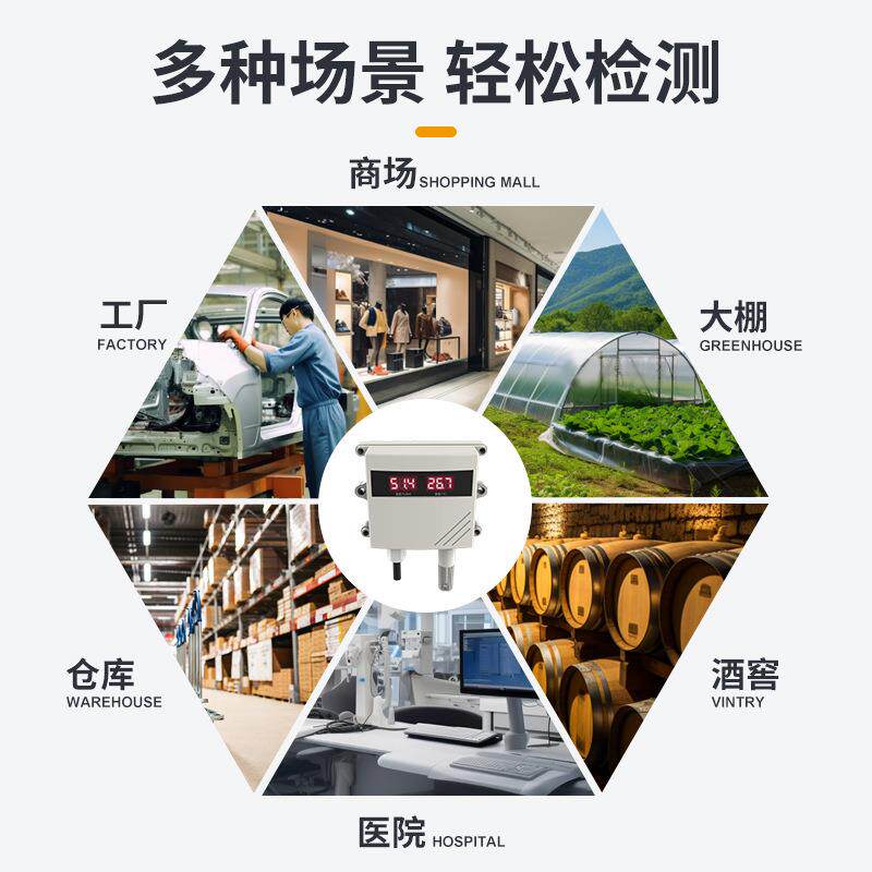 壁挂式LED工业4-温20mA湿数度计农业大显棚空气检测温湿度DR-BSQ1
