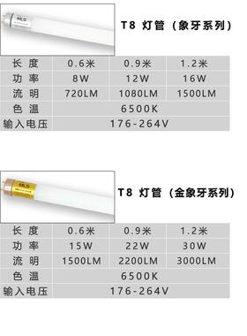 美林森T8Led灯1.2米超亮36长灯管灯座金象牙Mls荧光灯Mt8W94-6