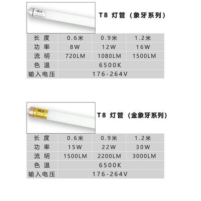 美林森T8Led灯1.2米超亮36长灯管灯座金象牙Mls荧光灯Mt8W94-6
