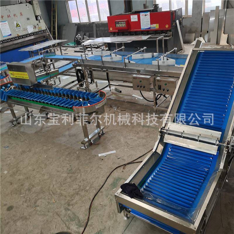 水果重量分级机 自动检测鱼牛油果竹笋称量机海参重量分拣 选果机