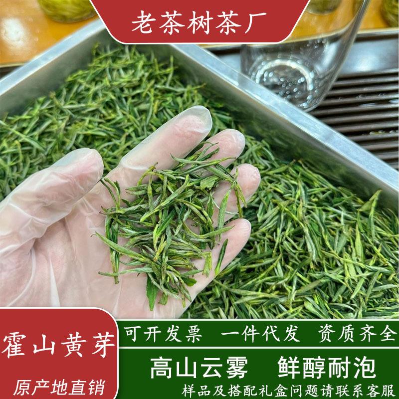 2025新茶霍山黄芽茶叶浓香型散装500g茶叶礼盒送人可选图片