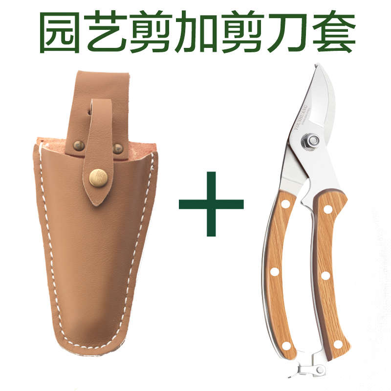 剪枝剪刀 优质原木手柄园艺剪刀修枝剪家用 果树花剪园林绿化工具