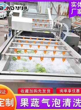 供应全动蔬菜机清洗 不自锈果蔬清NCG洗机 净菜设备钢 机械