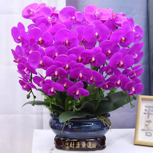 彷真花高档大盆保湿蝴蝶兰客厅装饰花电视柜玄关假花公司前台摆件