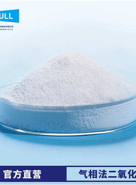 样品 汇富纳米二氧化钛硅胶耐热剂光触媒TiO2颗粒气相二氧化钛