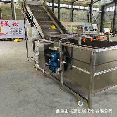 大型海鲜气泡清洗机全自动速冻蔬菜水果清洗机鼓浪式果蔬清洗机