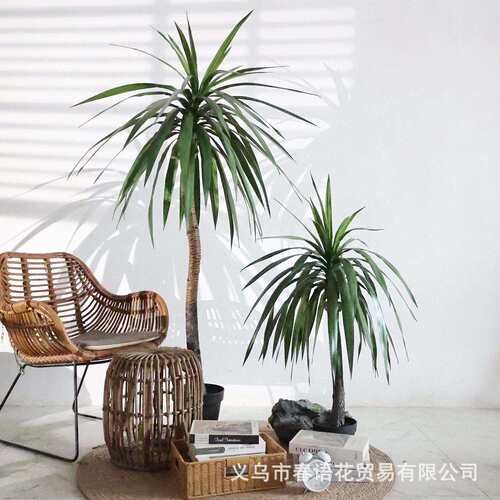 仿真绿植端轻奢龙舌兰盆栽室内落地客厅装饰品摆件千年木仿真树