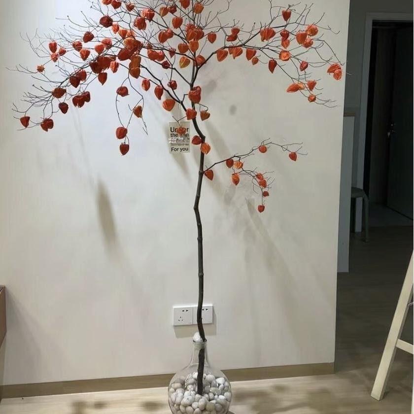 干树枝挂钟酸莓干花家居DIY花材料高端照片道具装饰