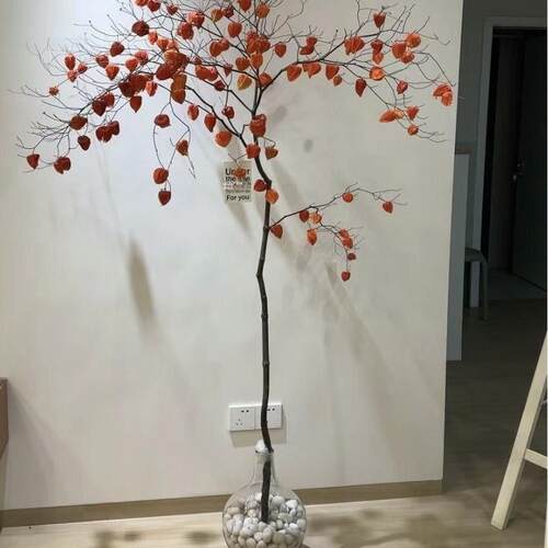干树枝挂钟酸莓干花家居DIY花材料高端照片道具装饰