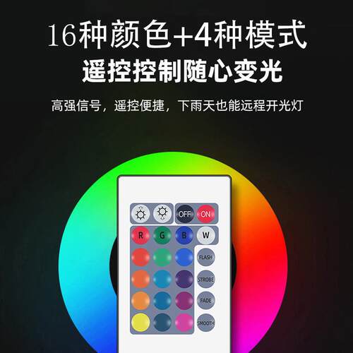 投光灯LED防水防尘户外正白光彩光RGB足功率小区花园景绿化照明灯