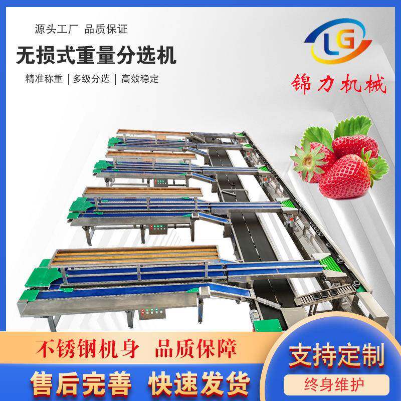 草莓苹果梨智能重量分选水果糖度智能检测不锈钢材质重量等级分拣