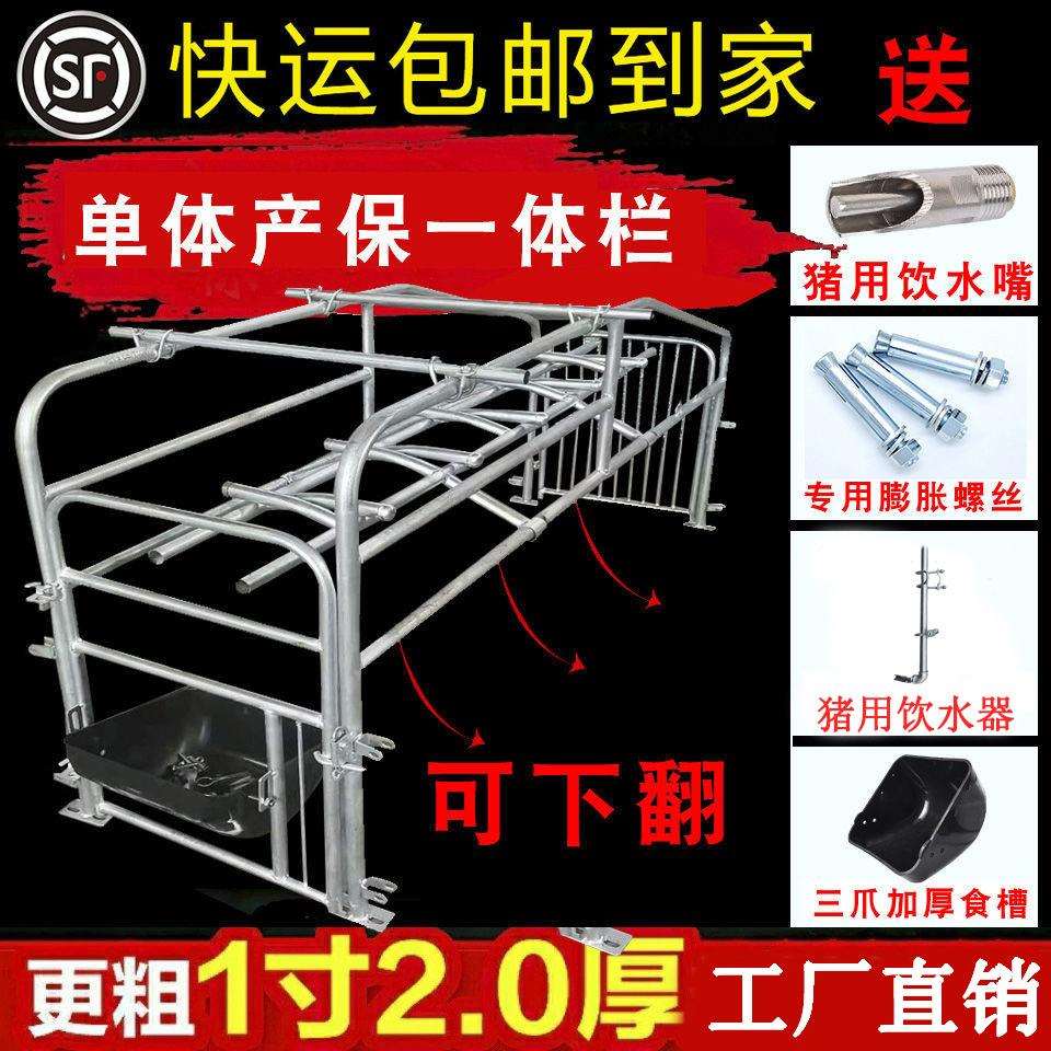 母猪产床母猪落地产床单体产床养猪场设备母猪定位栏猪场用品