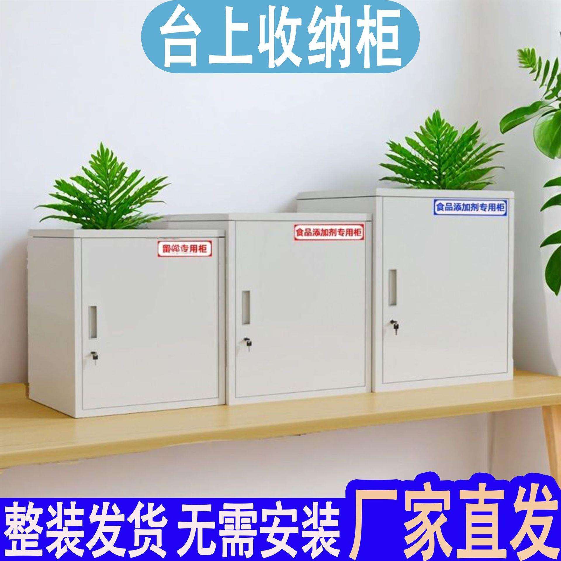铁皮柜学生宿舍带锁小箱子防盗家用小型储物柜办公室文件柜整装