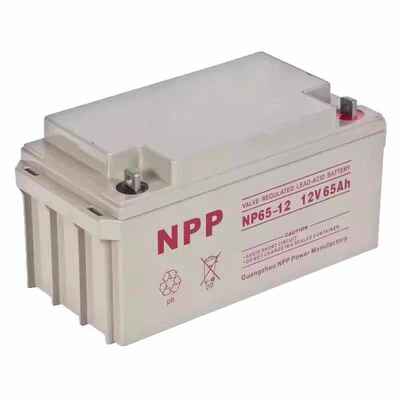耐普蓄电池 NP65-12免维护直流屏机房计算机12V65AH船舶UPS电源