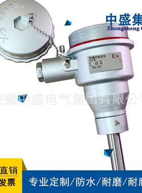 中盛热电阻PT100WZPK-248M20*1.50-200度