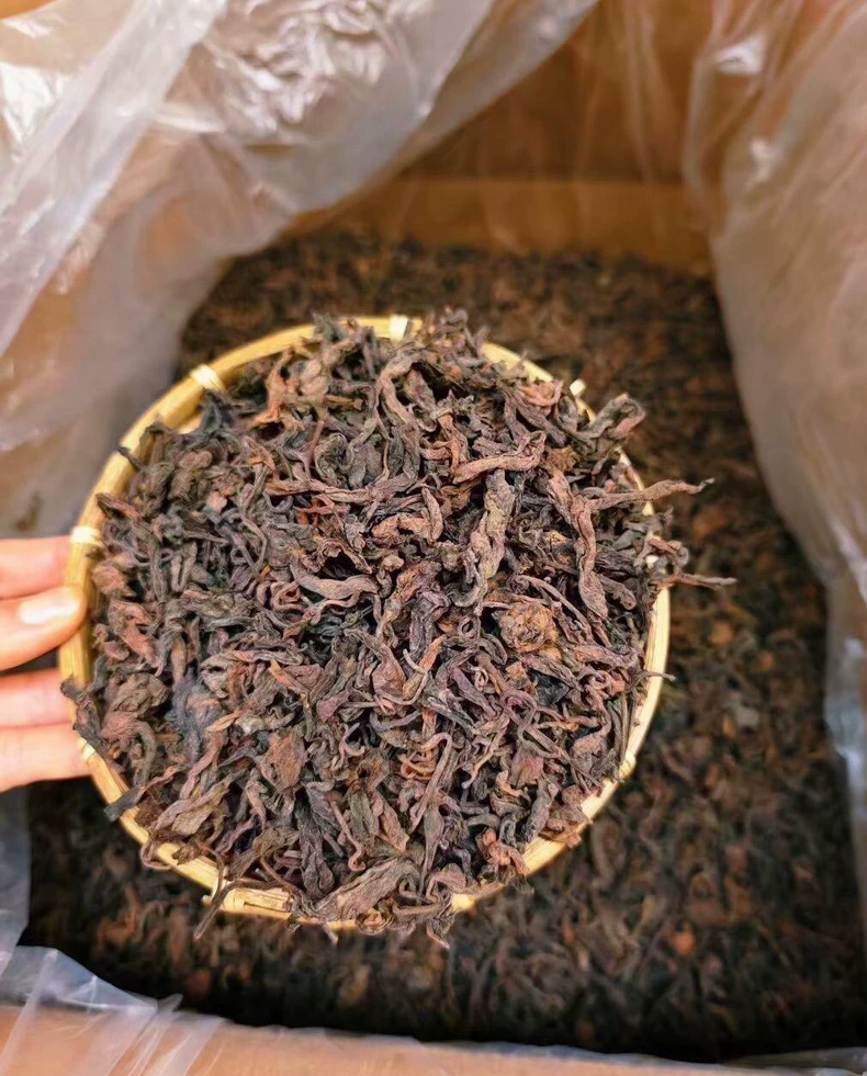 2012年果敢樟香古樹大葉老熟茶果敢樟香古樹大葉老熟茶.純正果敢樟香.樟香濃郁. 普洱茶 BUASHOP普洱老茶