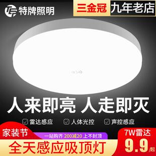 全天候人体感应灯升控灯延时大功率走廓电梯口衣帽间客厅吸顶灯