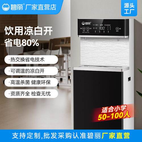 碧丽小学专用直饮水机学校教学楼商用公净水机大流量温开水2D8