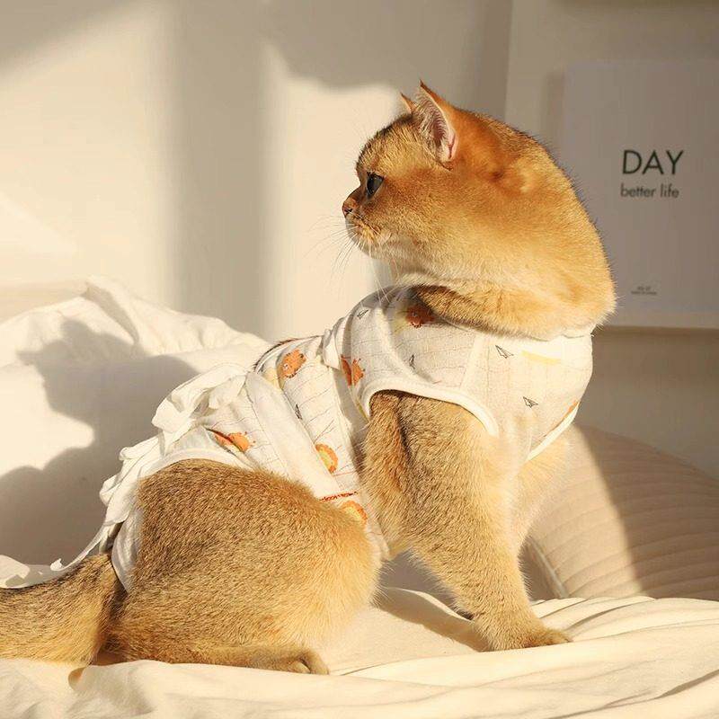 猫咪绝育服母猫手术后防护服宠物猫猫防舔防掉毛透气薄款断奶戒奶