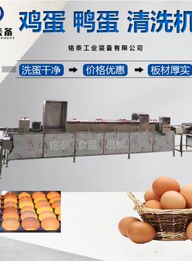 多排鸡蛋清洗机保洁蛋清洗风干杀菌设备鸭蛋去泥光捡一体机