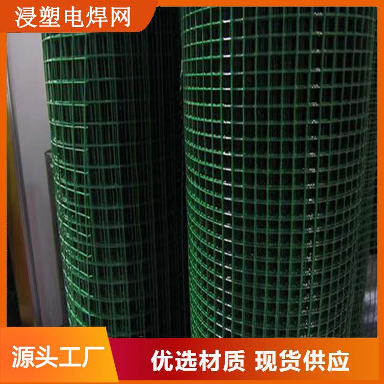 浸塑电焊网钢铁丝网围栏养殖绿网荷兰网防鼠果园防护小孔