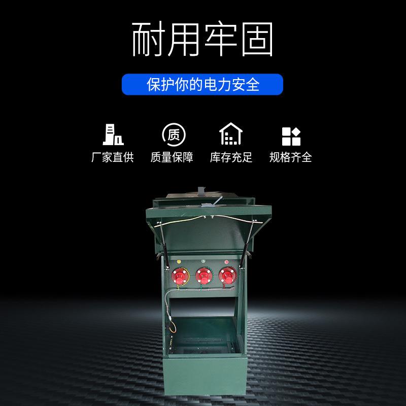 源头厂家户外欧式不锈钢分接箱一进N出避雷器10KV欧式电缆分支箱