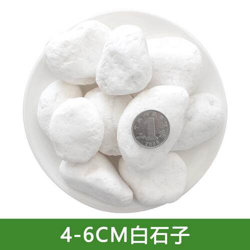 鹅卵石白色石子石子石头石头粗沙