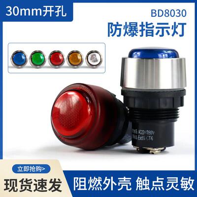 BD8030电源指示灯讯号灯钻孔30MM 指示灯220V