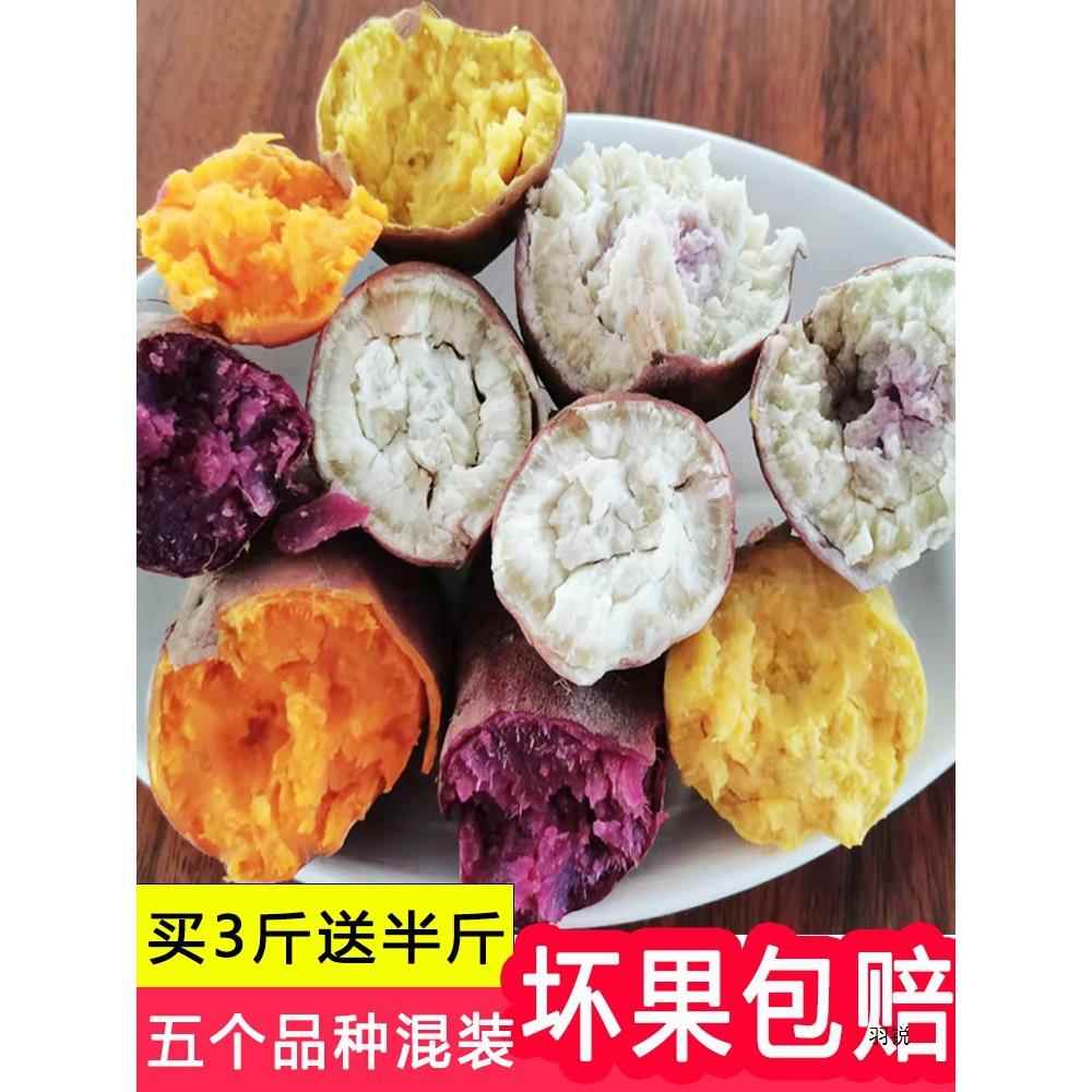 冰淇淋红薯爆皮王番薯鸡蛋黄地瓜紫薯西瓜红蜜薯板栗薯一点红山芋