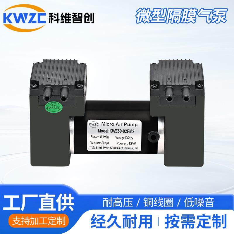 50-02PM2尼龙铸铁直流真空隔膜泵 12V微型增压气泵双头自吸泵