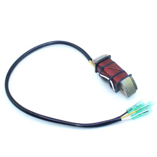 Ttsu东发2冲程18马力船外机照明线圈G2-0602-1G206021M