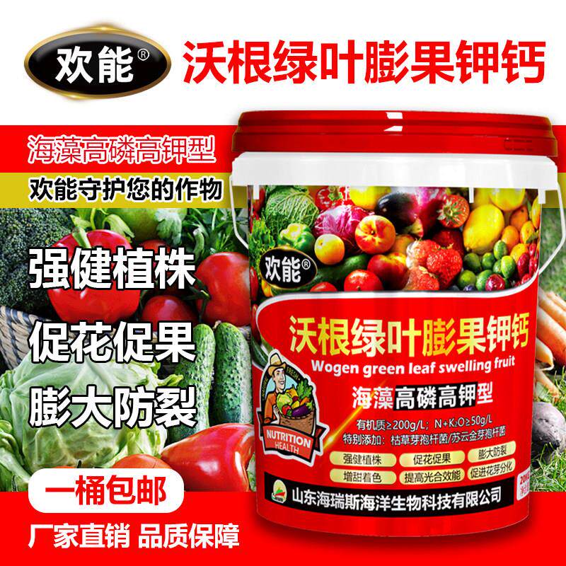海藻沃根膨果生根壮苗增产桶装肥瓜果蔬菜肥水溶肥高磷高钾冲施肥