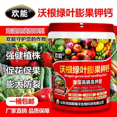 海藻沃根膨果生根壮苗增产桶装肥瓜果蔬菜肥水溶肥高磷高钾冲施肥