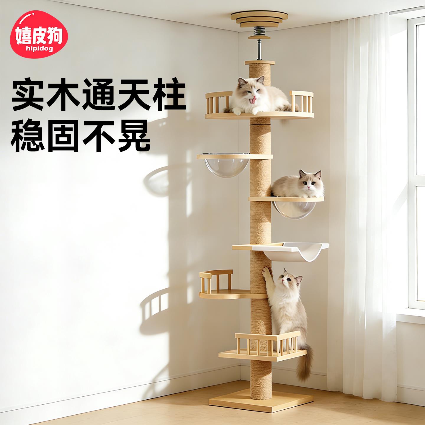 实木猫爬架通天柱猫窝猫树一体顶天立地小户型不占地太空舱猫跳台