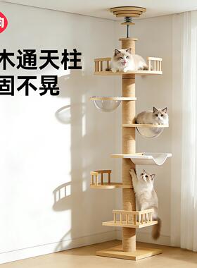 实木猫爬架通天柱猫窝猫树一体顶天立地小户型不占地太空舱猫跳台