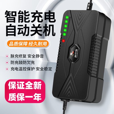 智能型电动车电瓶充电器48V12AH60V20AH72伏30ah40A50A通用小公插