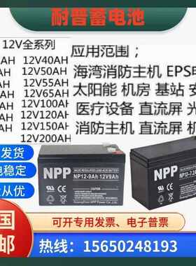 NPP耐普蓄电池NPG100-12V5A7A9A12A17A20A24A33A38A40A55A65A100A