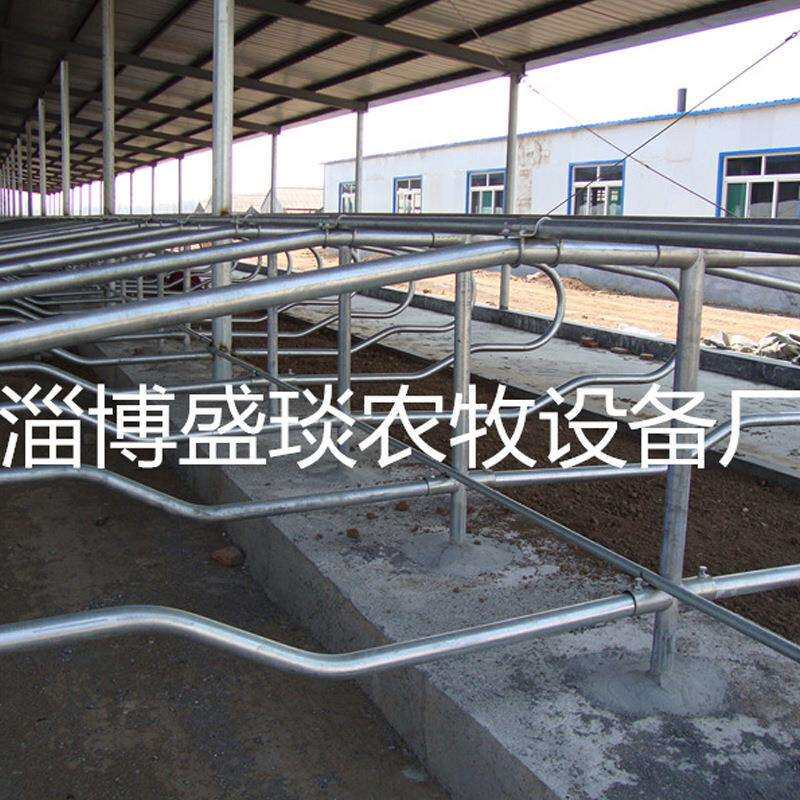 厂家奶牛用牛卧床 镀锌牛卧栏双面牛卧床及配件 牛卧栏卧床