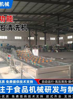 果蔬气泡清洗机柑橘高压气泡清洗机械设备果蔬鼓泡清洗设备