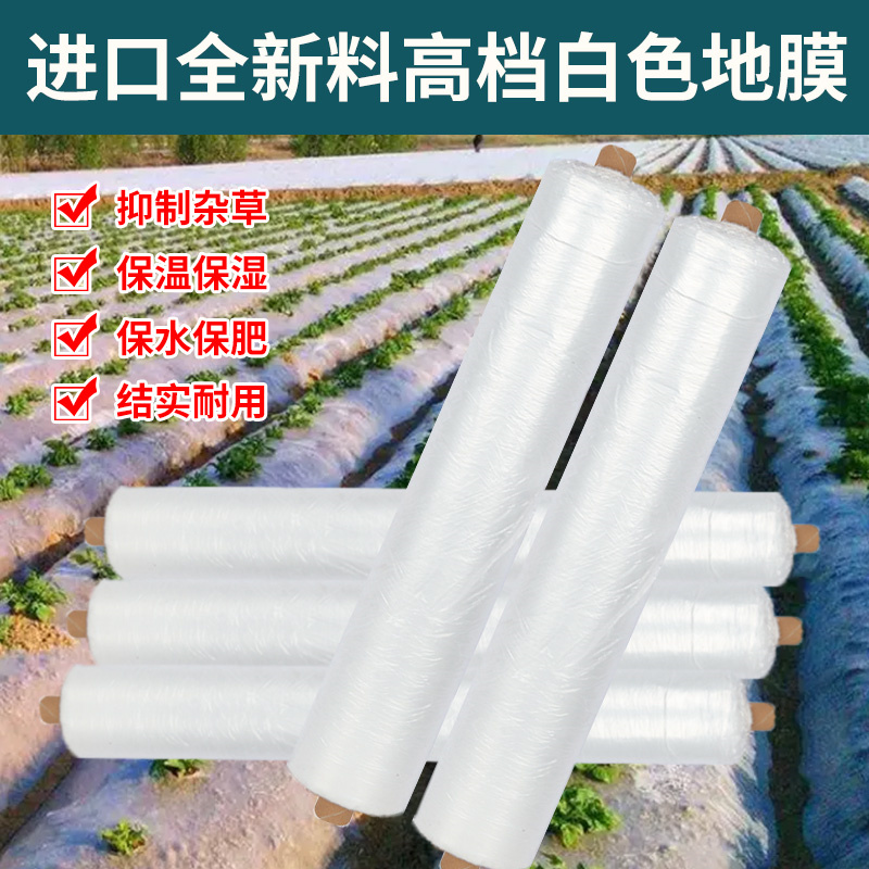 农用白色地膜塑料薄膜加厚种植聚乙烯塑料纸保温保湿大棚种菜工程