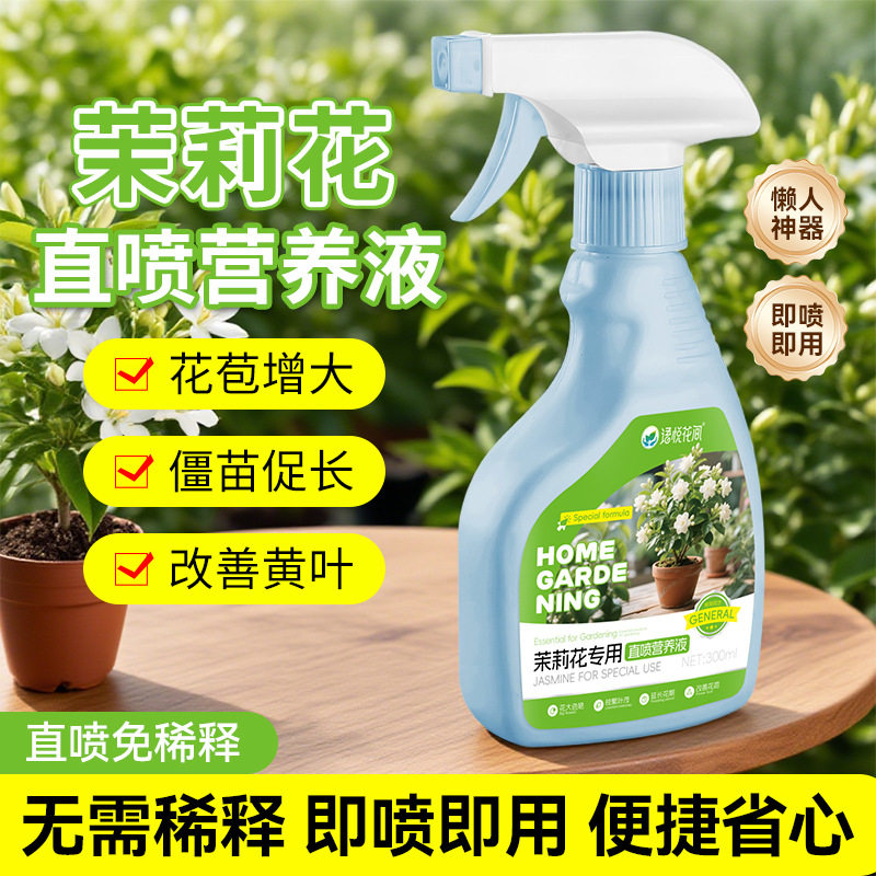 茉莉花茉莉花营养液栽培基质